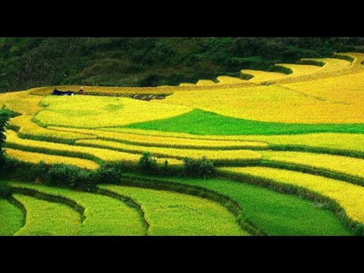 Hotspot Matrix: Biến Phương Oanh diện set đồ 50 thành cơ hội marketing đột phá_Hướng dẫn tạo nội dung
