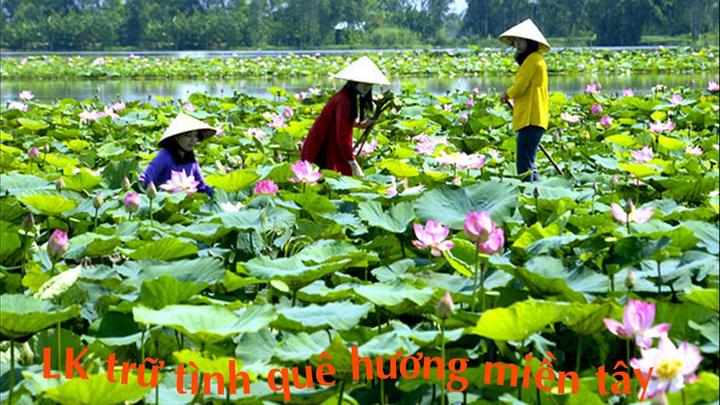 2 kiểu áo hot nhất hè này: - Cảm hứng video marketing từ Hotspot Matrix_Tuyển dụng tiếp thị kỹ thuật số