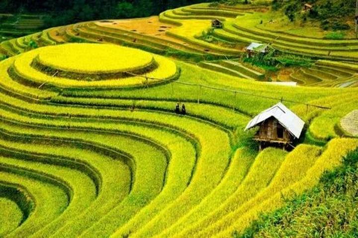 Video ngắn – Giải pháp truyền thông thông minh cho doanh nghiệp nhỏ_Đánh giá ma trận điểm nóng