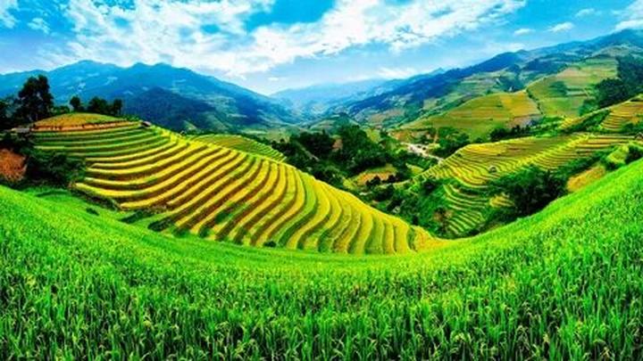Từ Bắt tạm giam Bùi Thị Thanh đến chiến lược content: Hotspot Matrix chia sẻ_Sản phẩm quảng cáo ngắn video